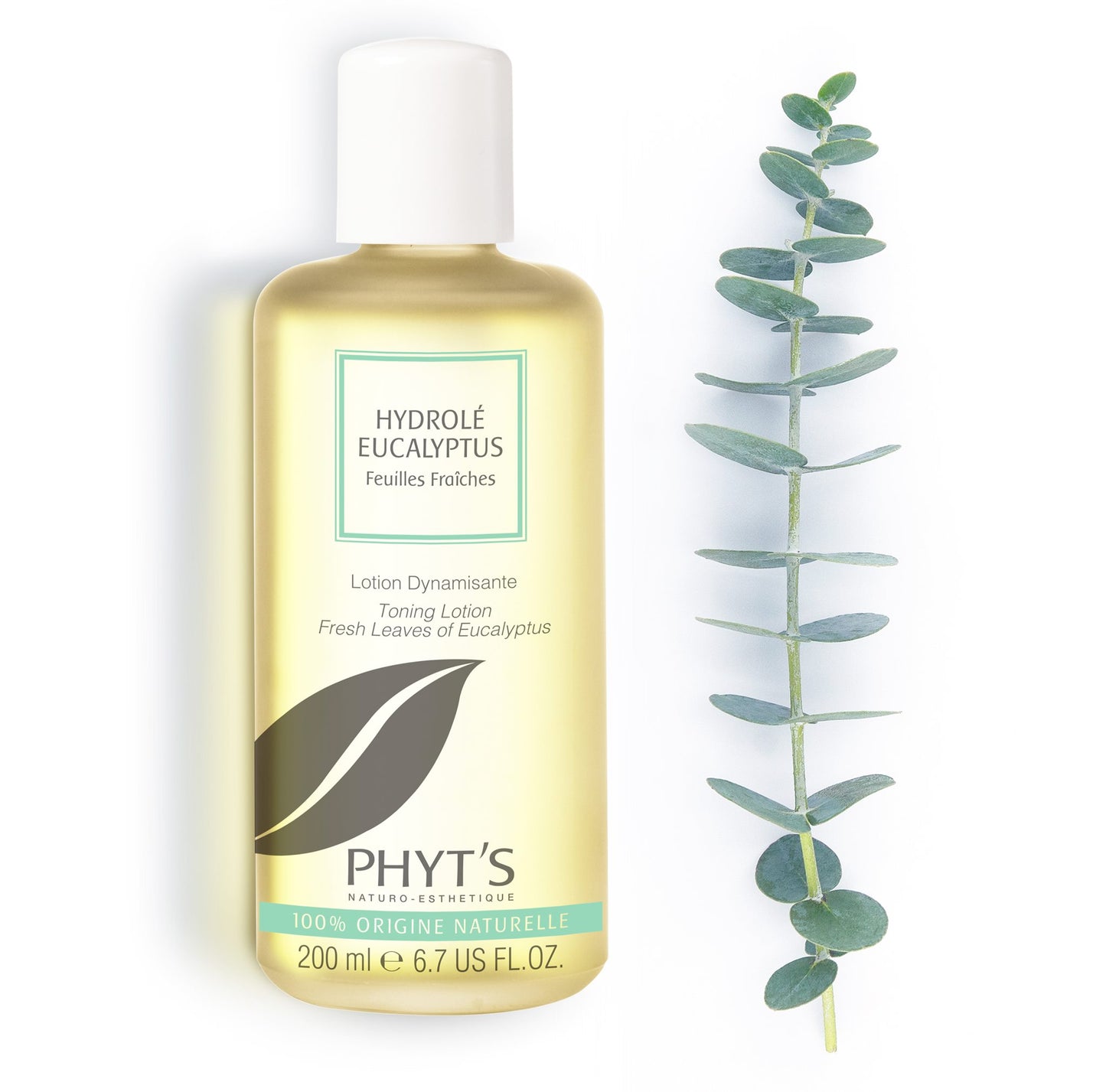 Eukalyptus Hydrolat - Hydrolé Eucalyptus